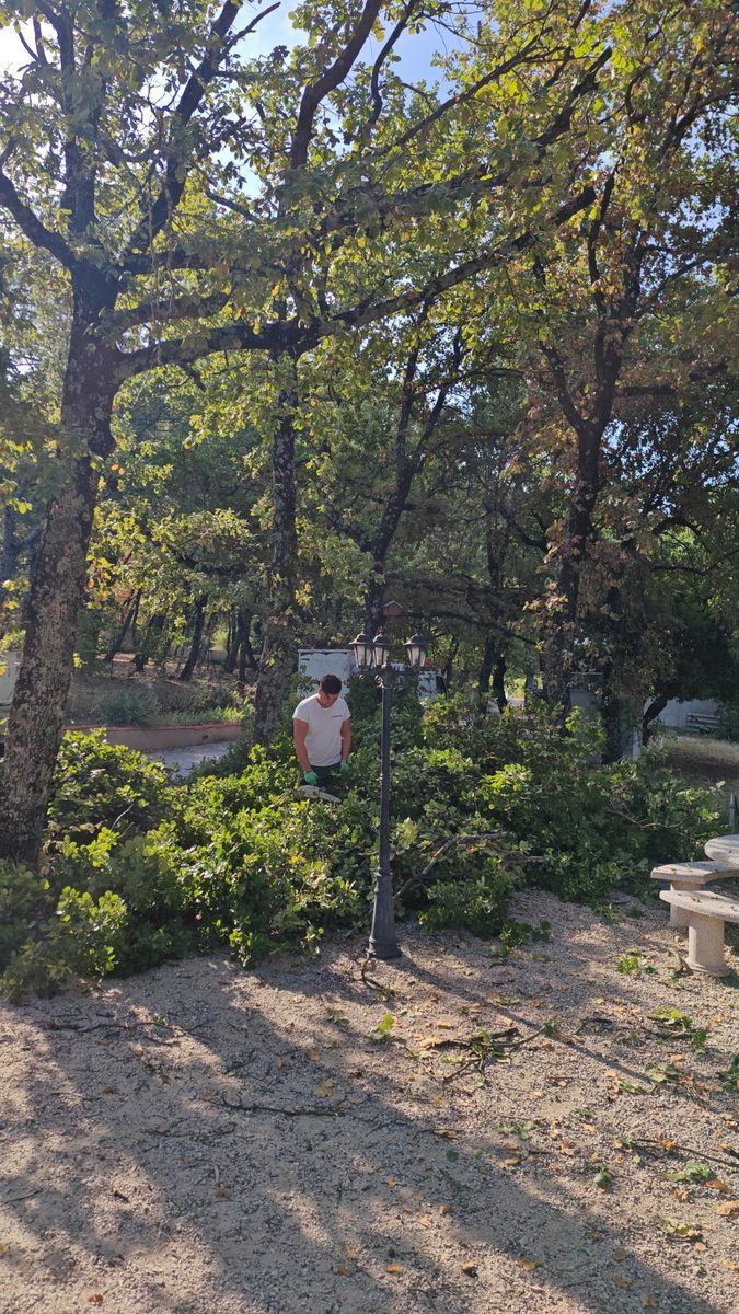 Nettoyage débroussaillage terrain en Drôme — Uhlmann Élagage 26